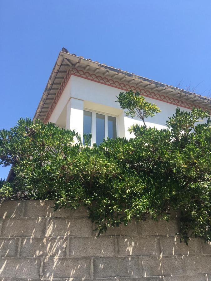 Dans Une Maison, Appartement Independant Et Jardin 佩皮尼昂 外观 照片