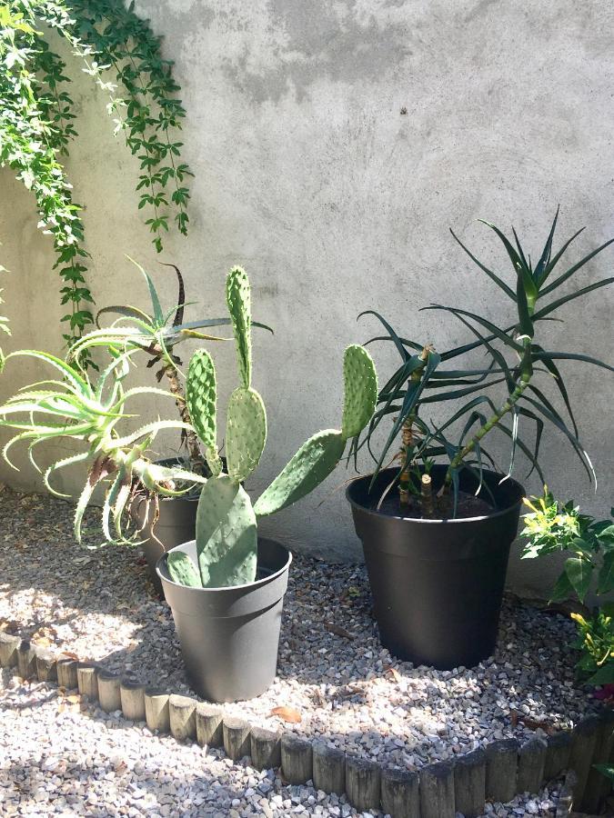 Dans Une Maison, Appartement Independant Et Jardin 佩皮尼昂 外观 照片